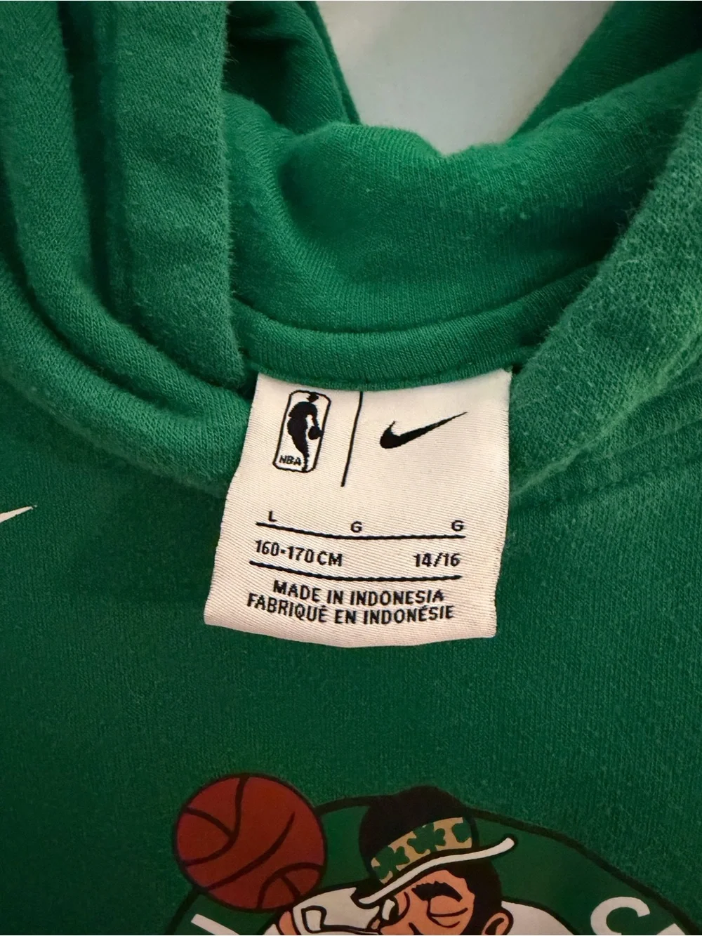 Nike Green Boston Celtics Hooded Sweatshirt with Team Logo